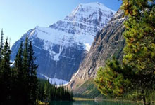 亚博究竟是什么，为何要远离它？